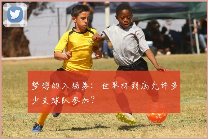 梦想的入场券：世界杯到底允许多少支球队参加？