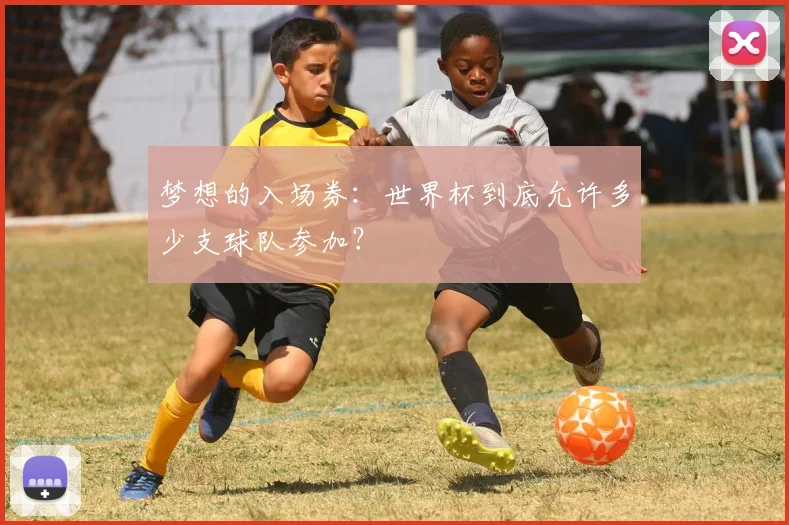 梦想的入场券：世界杯到底允许多少支球队参加？