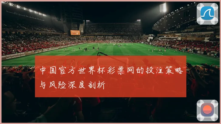 中国官方世界杯彩票网的投注策略与风险深度剖析
