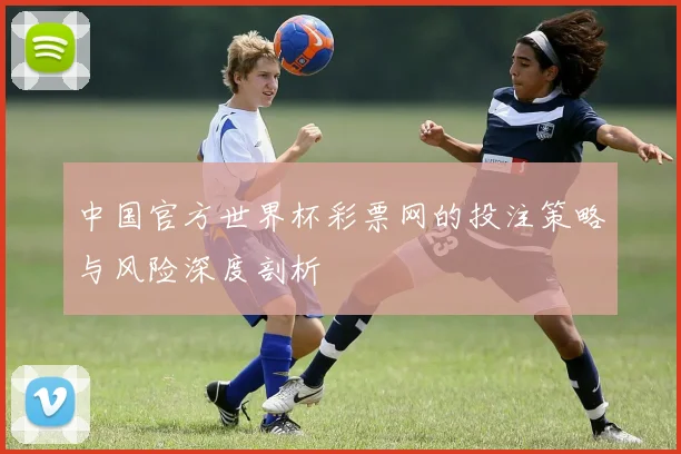 中国官方世界杯彩票网的投注策略与风险深度剖析