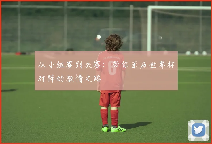 从小组赛到决赛:带你亲历世界杯对阵的激情之路