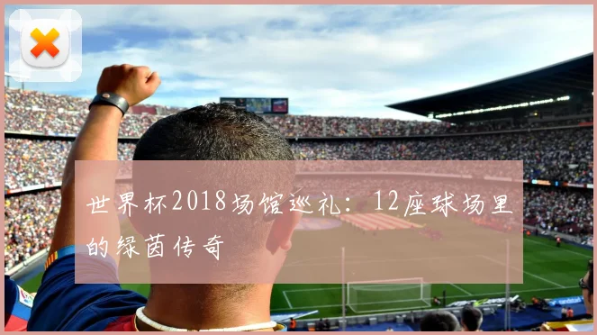世界杯2018场馆巡礼:12座球场里的绿茵传奇