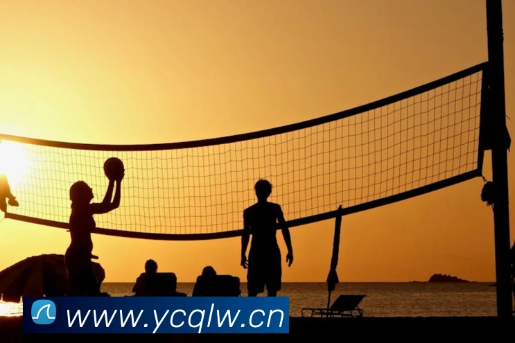 星空体育(中国)官网发展历程